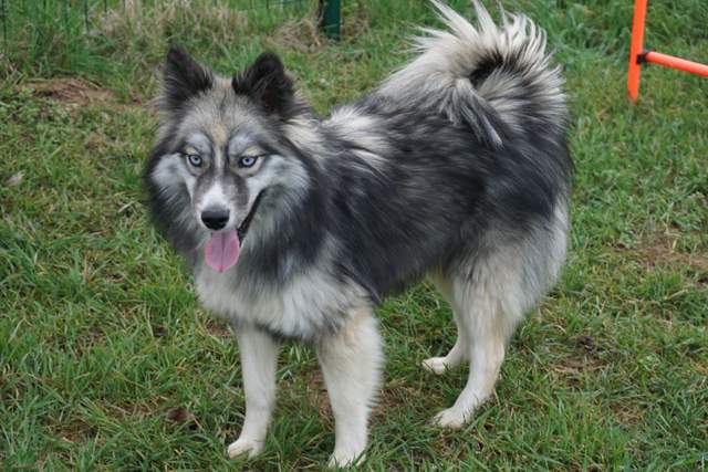 Photo de Urka du Domaine d'Arctik