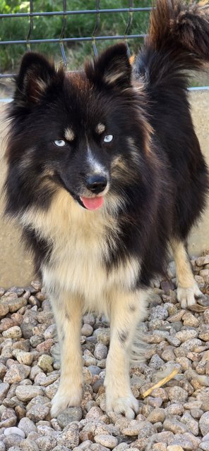 Photo de Blue