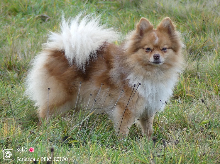 Photo de Umielle