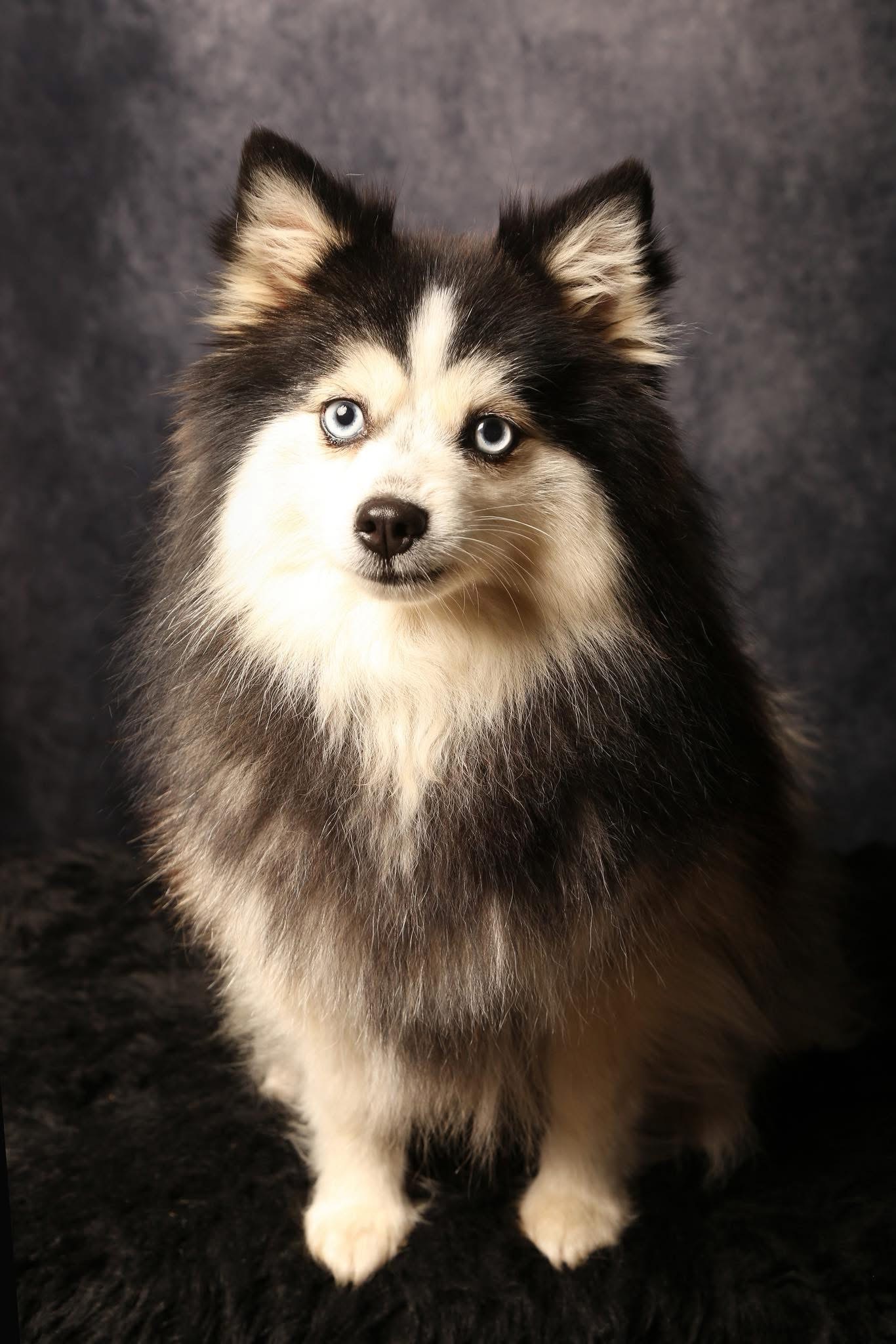 Photo de Vaïa Deep Blue Eyes